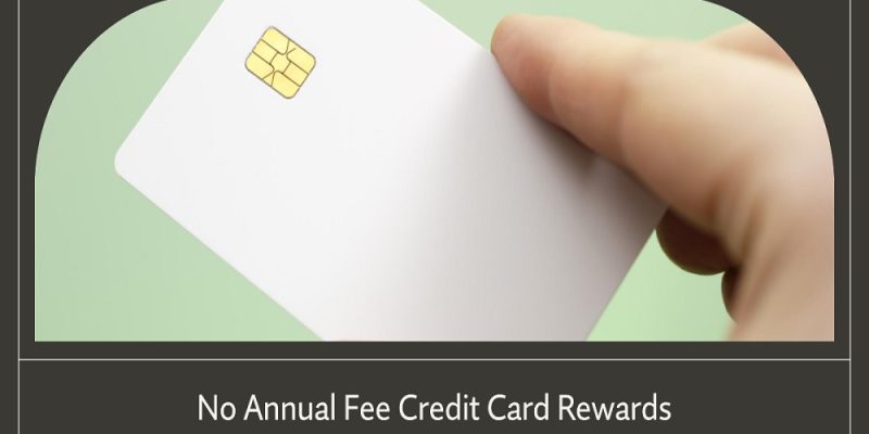 best credit card rewards no annual fee